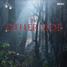 Dario Miranda: The Other Side