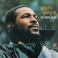 Marvin Gaye: Mercy Mercy Me (The Ecology)