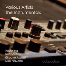 Various Artists: The Instrumentals