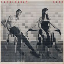 Andrew Bird: Cunningham Bird