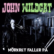 John Wildcat: Mörkret faller på