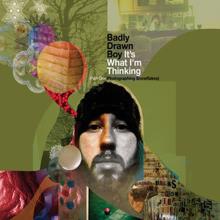 Badly Drawn Boy: It's What I'm Thinking (Bonus Track Version)