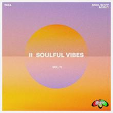 Various Artists: Soulful Vibes Vol. 11