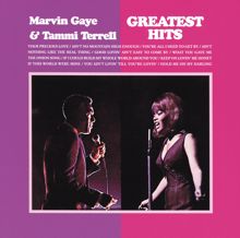 Marvin Gaye: Greatest Hits