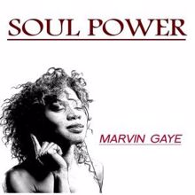 Marvin Gaye: Soul Power