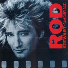 Rod Stewart: Camouflage