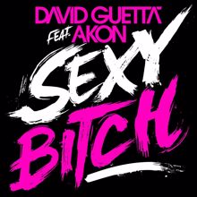 David Guetta: Sexy Bitch (feat. Akon) (Afrojack Remix)