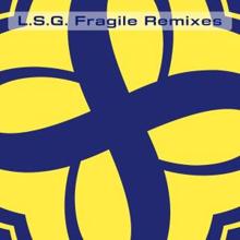 L.S.G.: Fragile (Vapourspace's Delicate Remix)