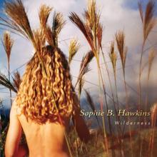 Sophie B. Hawkins: Open Up Your Eyes