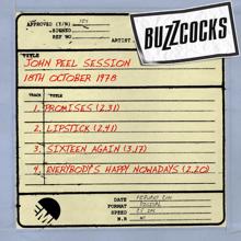 Buzzcocks: John Peel Session [18th October 1978] (18th October 1978)