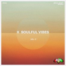 Various Artists: Soulful Vibes, Vol. 17