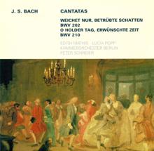 Peter Schreier: Bach, J.S.: Cantatas - Bwv 202, 210