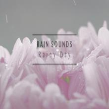 Rain Sounds: Rainy Day