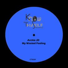 Archie JD: My Wasted Feeling