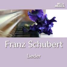 Tamara Takacs, Jeno Jando, Udo Scheuerpflug, Paul Sturm: Schubert: Lieder