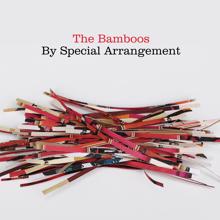 The Bamboos, Dan Sultan: I Never (feat. Dan Sultan) (Strings Version)