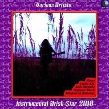 Various Artists: Instrumental Arisk Star 2018