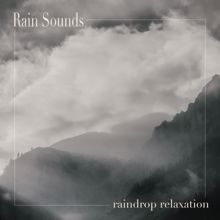 Rain Sounds: Raindrop Relaxation