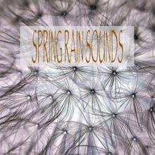 Rain Sounds: Spring Rain Sounds