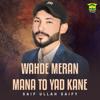 Saif Ullah Saify: Wahde Meran Mana To Yad Kane