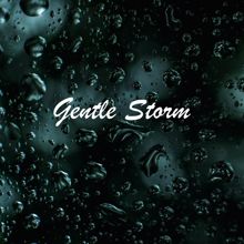 Rain Sounds: Gentle Storm