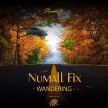 Numall Fix: Wandering (Original Mix)