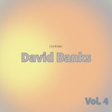 David Banks: David Banks, Vol. 4