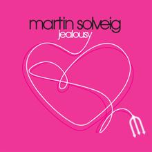 Martin Solveig: Jealousy