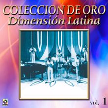 Dimension Latina: Colección De Oro: A Bailar La Salsa Con Dimensión Latina, Vol. 1