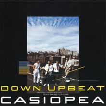 CASIOPEA: DOWN UPBEAT