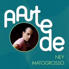 Ney Matogrosso: A Arte De Ney Matogrosso