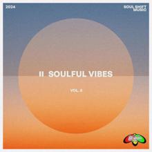 Various Artists: Soulful Vibes, Vol. 8