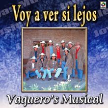 Vaquero's Musical: Joyas Musicales, Vol. 1: Voy A Ver Si Lejos