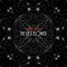 Patrick P.: The Last Flower