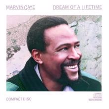 Marvin Gaye: Dream Of A Lifetime