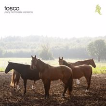 Tosca: Pony - No Hassle Versions