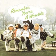 The Wombles: Remember You're A Womble