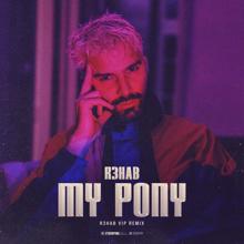 R3HAB: My Pony (R3HAB VIP Remix)