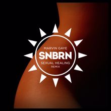 Marvin Gaye: Sexual Healing (SNBRN Remix)