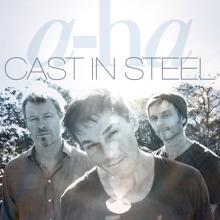 a-ha: Forest Fire