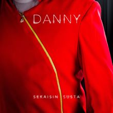 Danny: Sekaisin susta