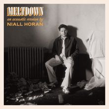 Niall Horan: Meltdown (Acoustic)