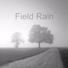 Rain Sounds: Field Rain