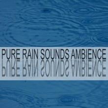 Rain Sounds: Pure Rain Sounds Ambience