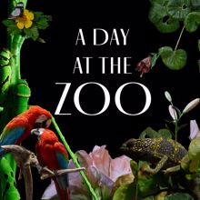 Felix Thoma: A Day at the Zoo
