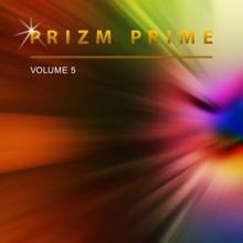 Prizm Prime: Prizm Prime, Vol. 5