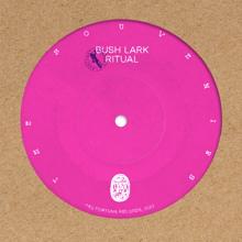 The Souvenirs: Bush Lark Ritual