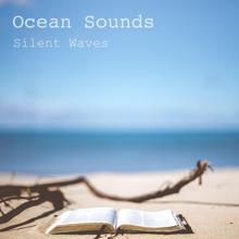 Ocean Sounds: Silent Waves