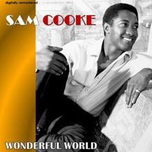 Sam Cooke: Wonderful World (Digitally Remastered)