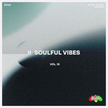 Various Artists: Soulful Vibes, Vol. 18